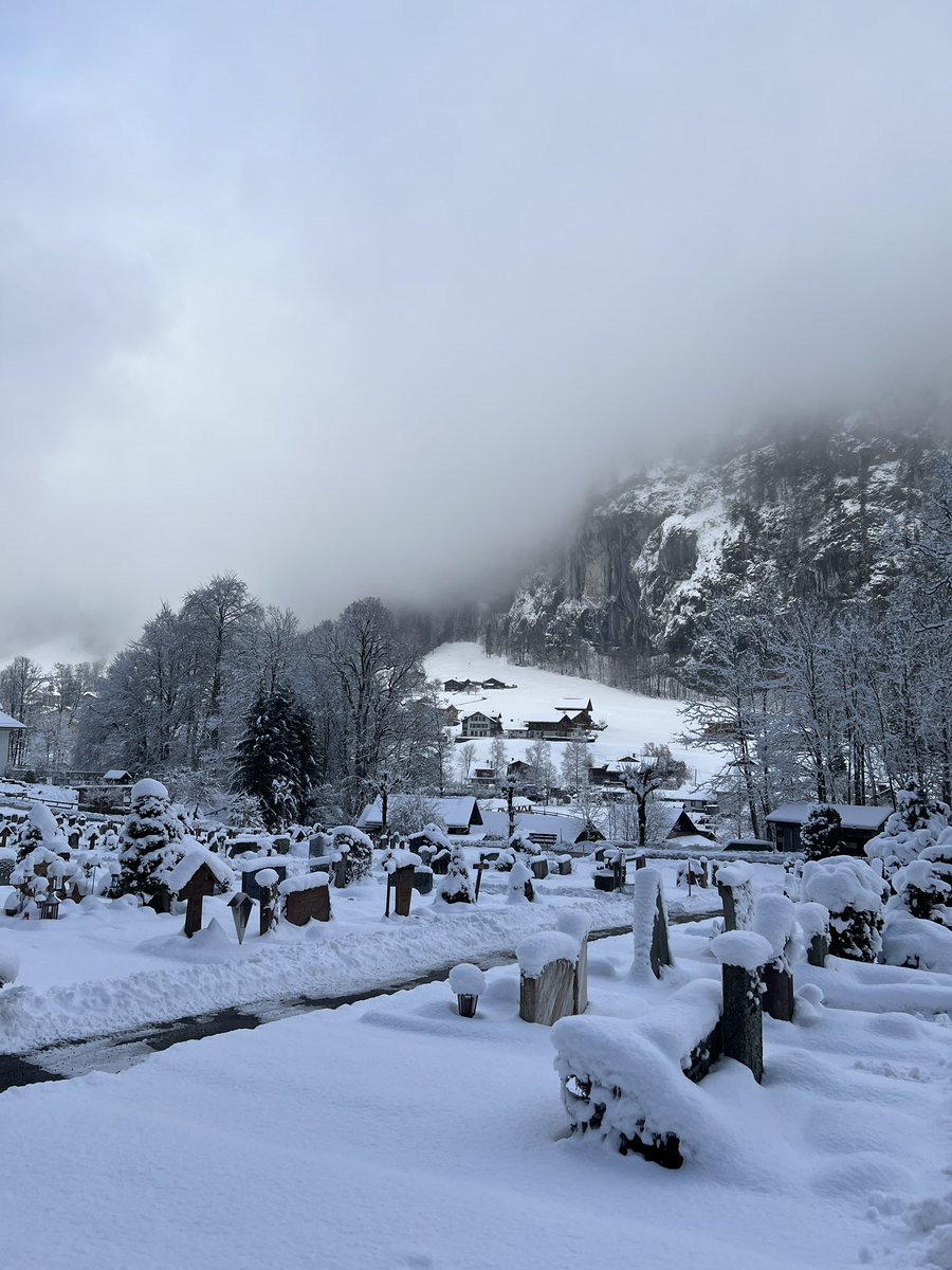 Norma Now tweet media