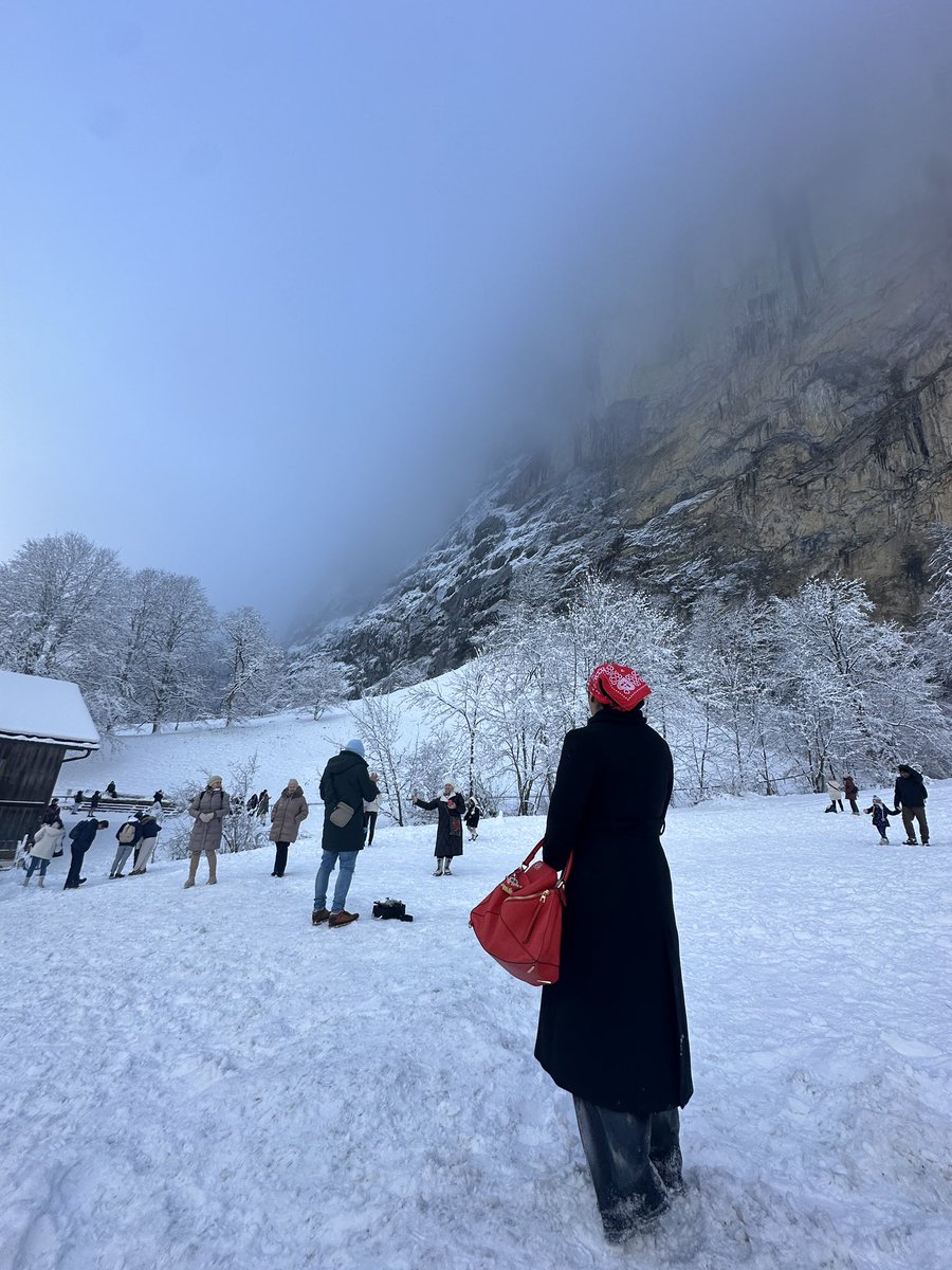 Norma Now tweet media