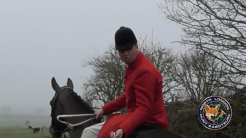 North London Hunt Saboteurs tweet media