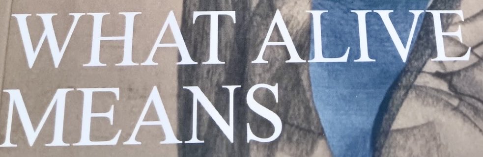 Jacqueline Weiden PhD ☮️🇺🇦🏳️‍🌈#BLM🏳️‍⚧️ (@tennisjacko) on Twitter photo 