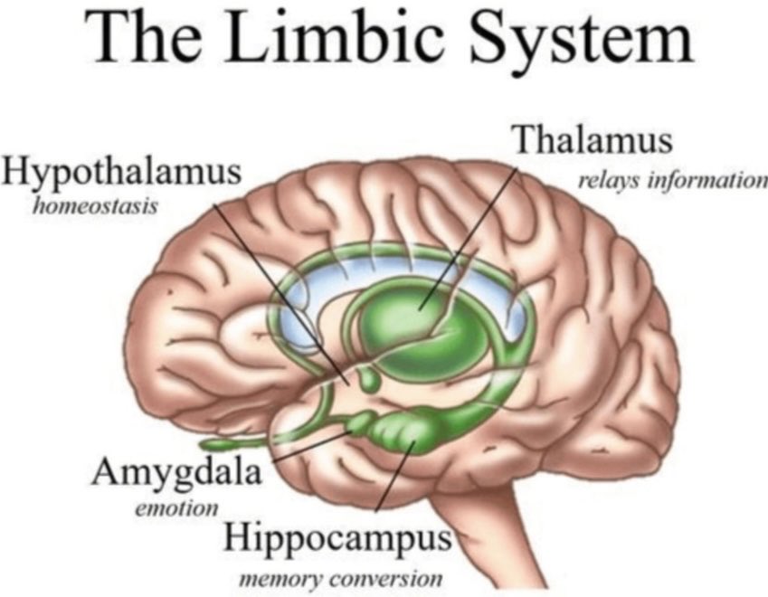 Jacqueline Weiden PhD ☮️🇺🇦🏳️‍🌈#BLM🏳️‍⚧️ (@tennisjacko) on Twitter photo 