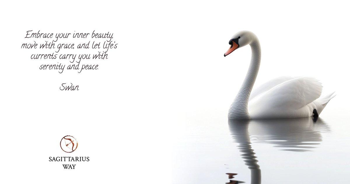 Sagittarius Way tweet media