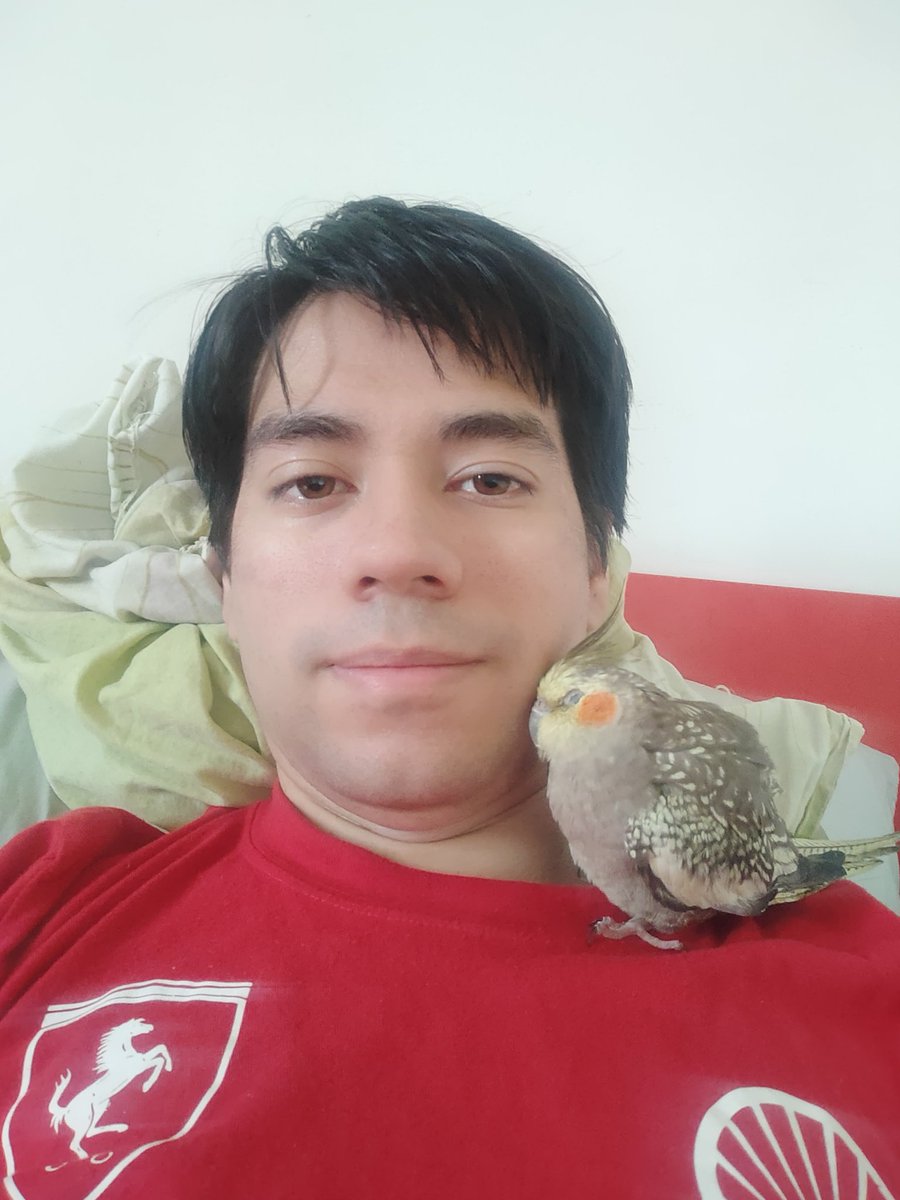 ✨Kiwillius✨ tweet media