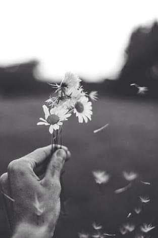 literlandweb1's tweet photo. "Sé paciente con todo aquello que esté sin resolver en tu corazón".
Rainer Maria Rilke https://t.co/WJw4E1flmg