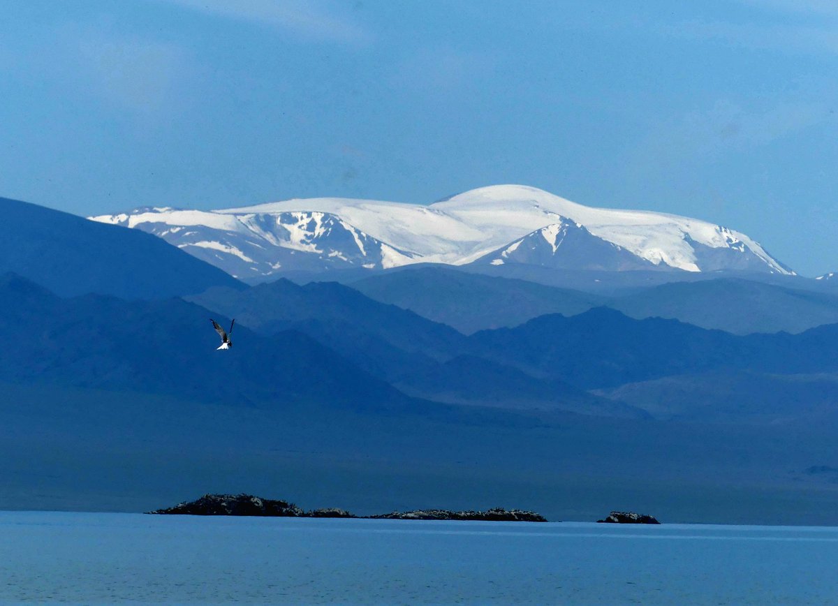 Өглөөний мэнд Монгол орон. 
Та бүхэндээ энэ өдрийн хамгийн сайхан бүхнийг хүсэн ерөөе. 
Увс аймаг. Сагил сум. 
Үүрэг нуур. Мөнгөн Тайга.