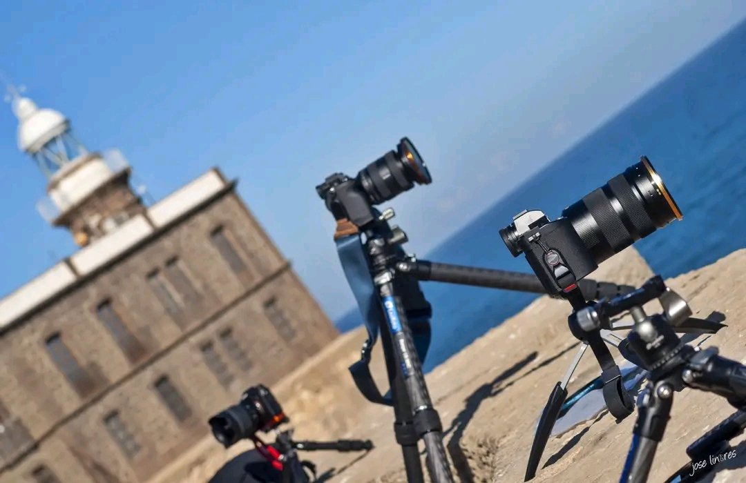 Jose Linares tweet media