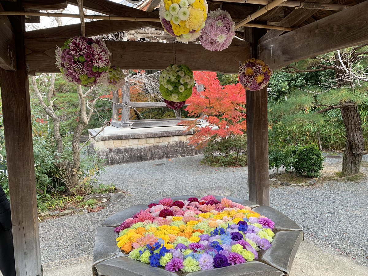 💐人の行為は創造行為と

言われてもピンとこない人は

多いかもね

人が手を加える事で

美しくなったり

便利になったり

豊かになったり…

愛を添える事で

より輝き

より力が増幅したり

より活発になっていく…

眼に見えて

様々な事が変わっていく

貴方は人生で

何を創造していきますか⁉️⛄️