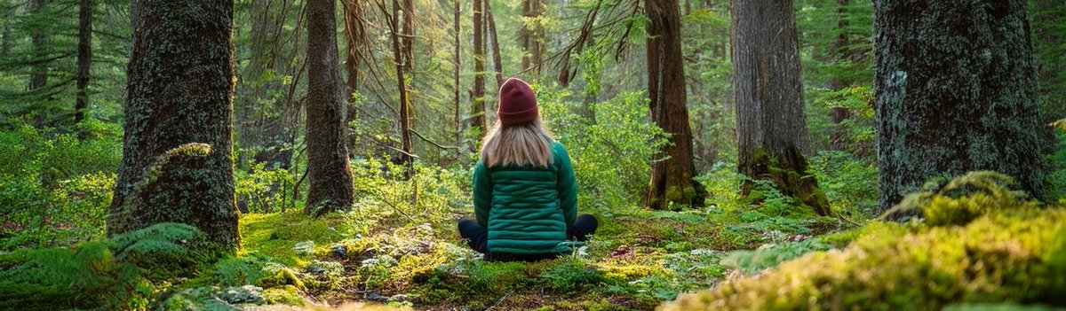 TheCarceri's tweet image. We lose our souls if we lose the experience of the forest, the butterflies, song-birds, and the stars at night. The environmental crisis is fundamentally a spiritual crisis. Our well-being can be achieved only through the well-being of the natural world around us - and breathe!