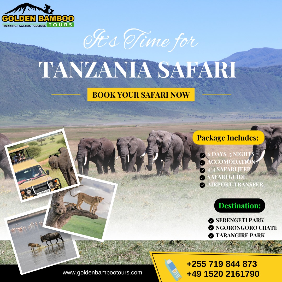 goldenbambootours.com