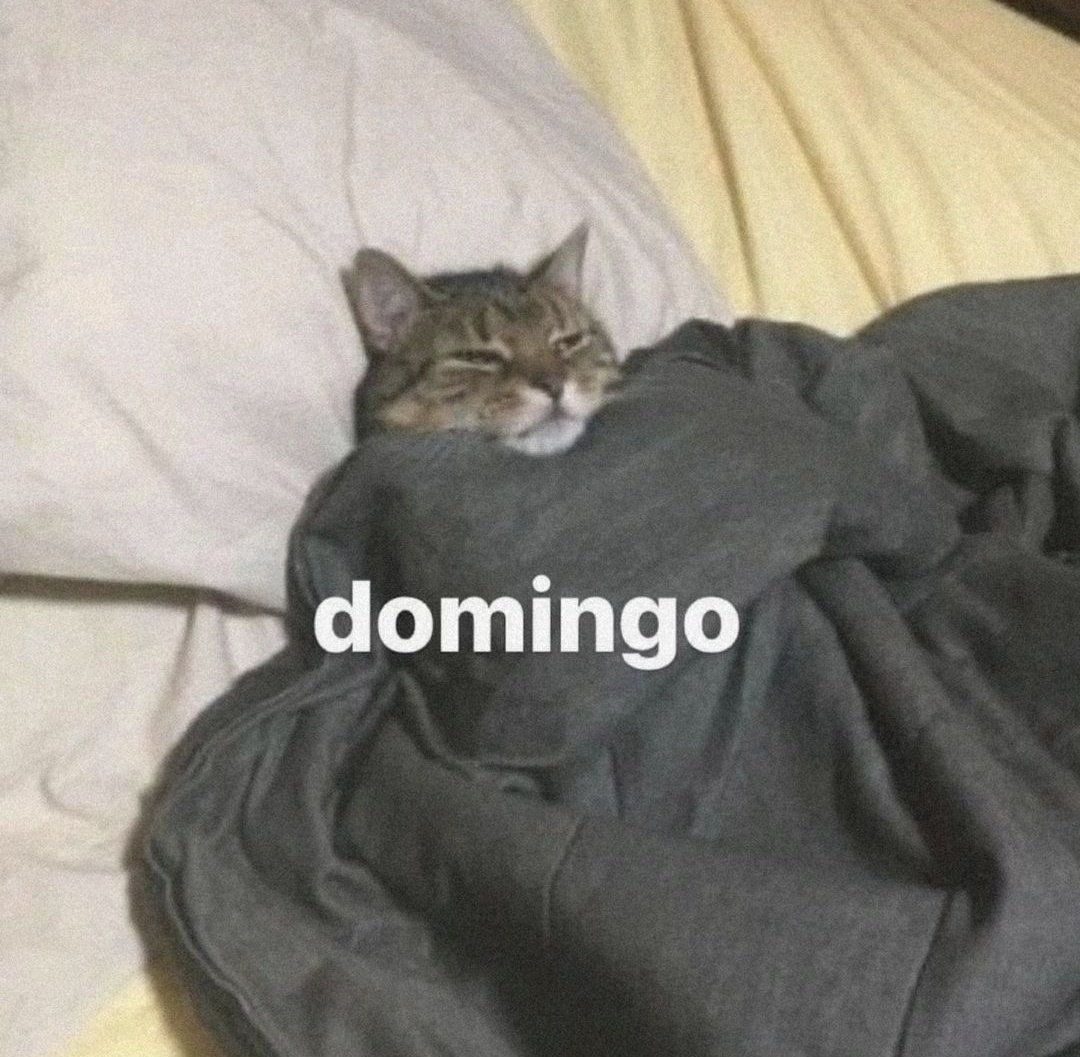 En_jupiter_'s tweet photo. Ultimo domingo del año. https://t.co/ElSypSsfyh