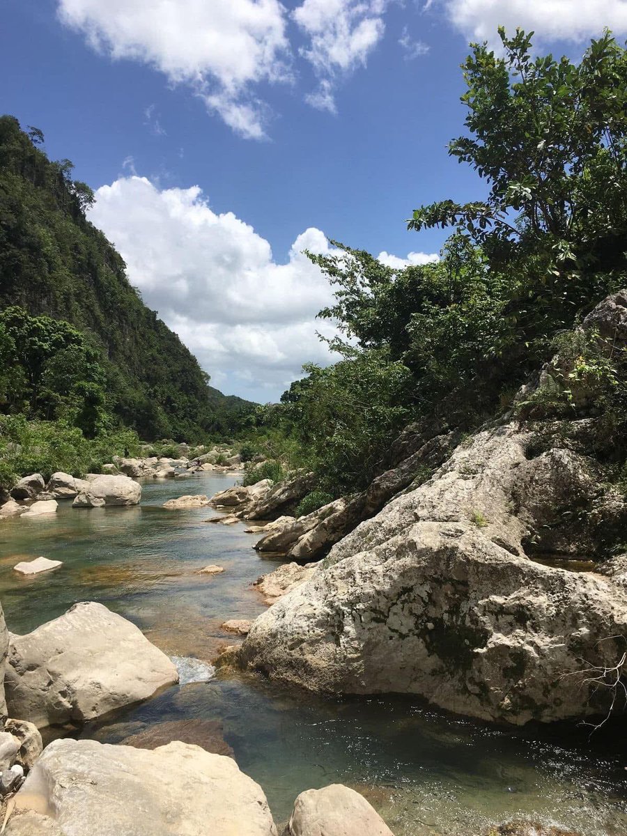 DonaldBenjamin_'s tweet photo. 📍Rivière Glace, Grand'Anse, Haiti 🇭🇹

📷 : Territorial https://t.co/LxQOdcAEso