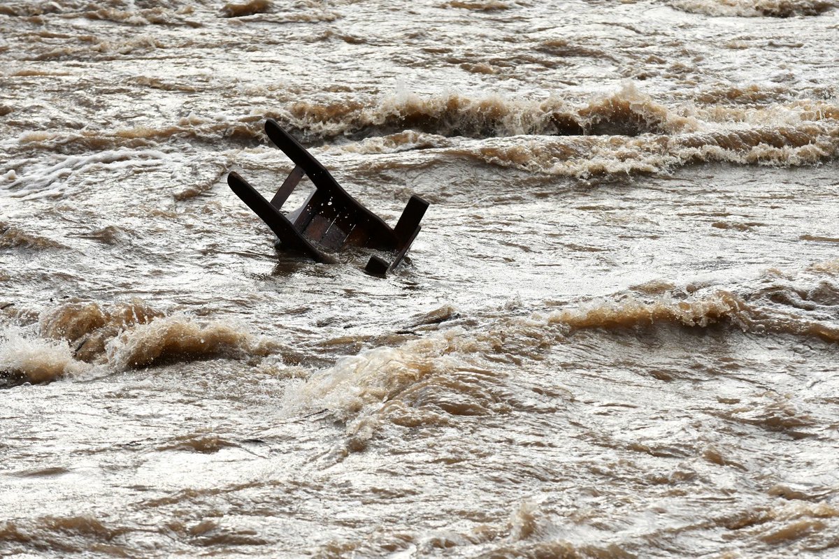 Scott Stoddard tweet media