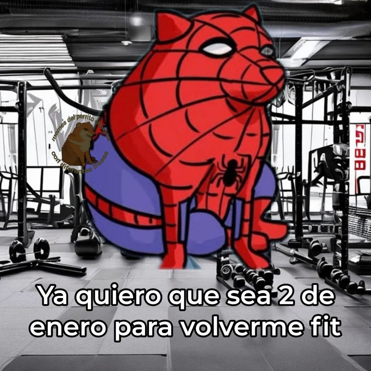 nacional_memes's tweet photo. 🐶 https://t.co/Qn4AmBU5Mm