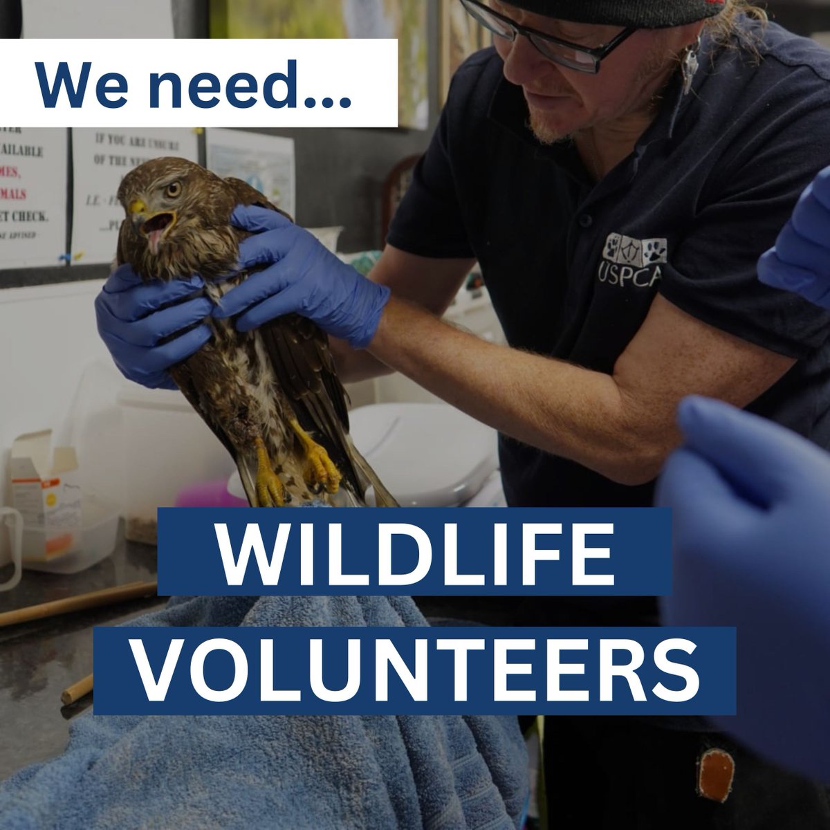 USPCA Official tweet media