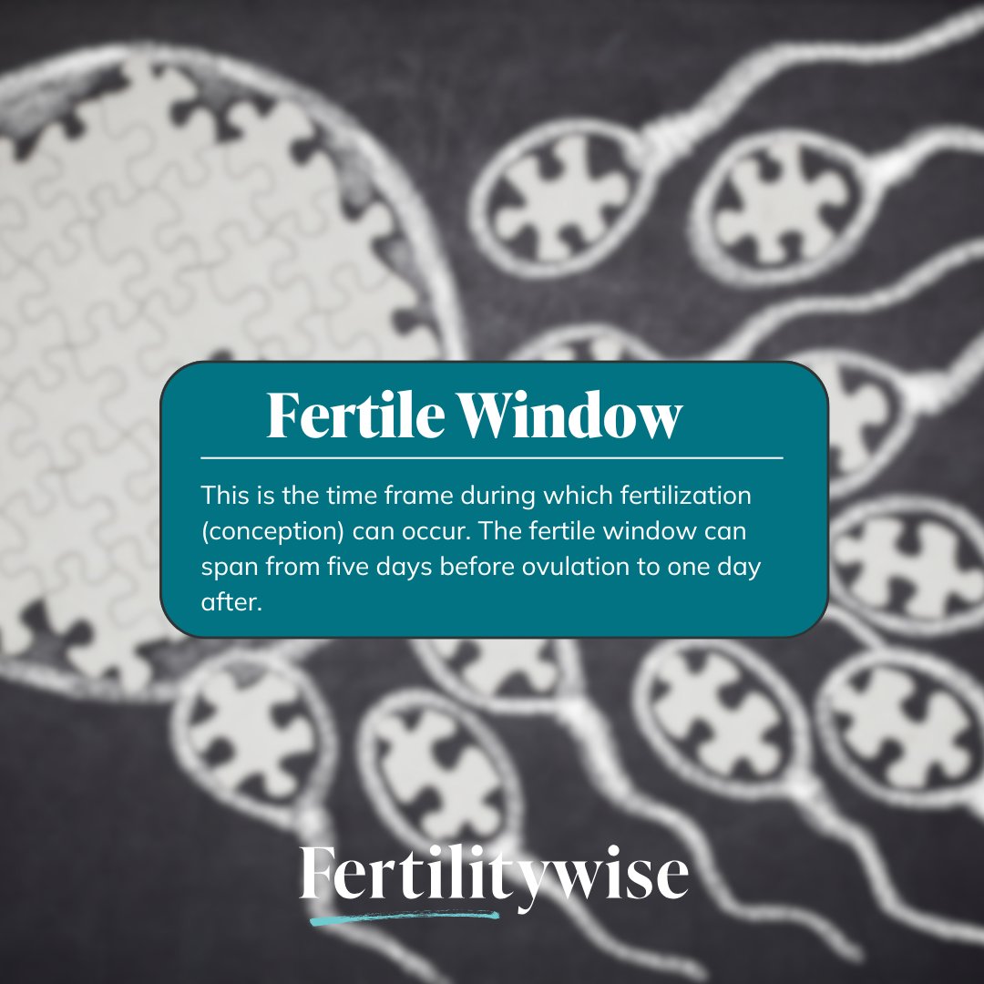 Did you know that sperm can survive in a female’s reproductive tract for up to five days, and the egg stays in the fallopian tube for up to 24 hours? Learn what this means for trying to conceive at the link in bio. 

#Fertilitywise #fertility #fertilityjourney #TTC