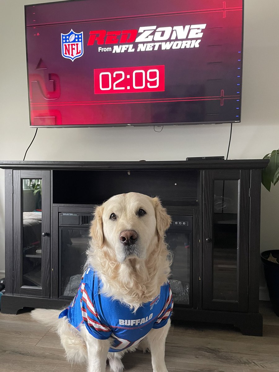 Ezzard14's tweet photo. Finn is ready for some Redzone! @ScottHanson https://t.co/ZzVvxyr8QR