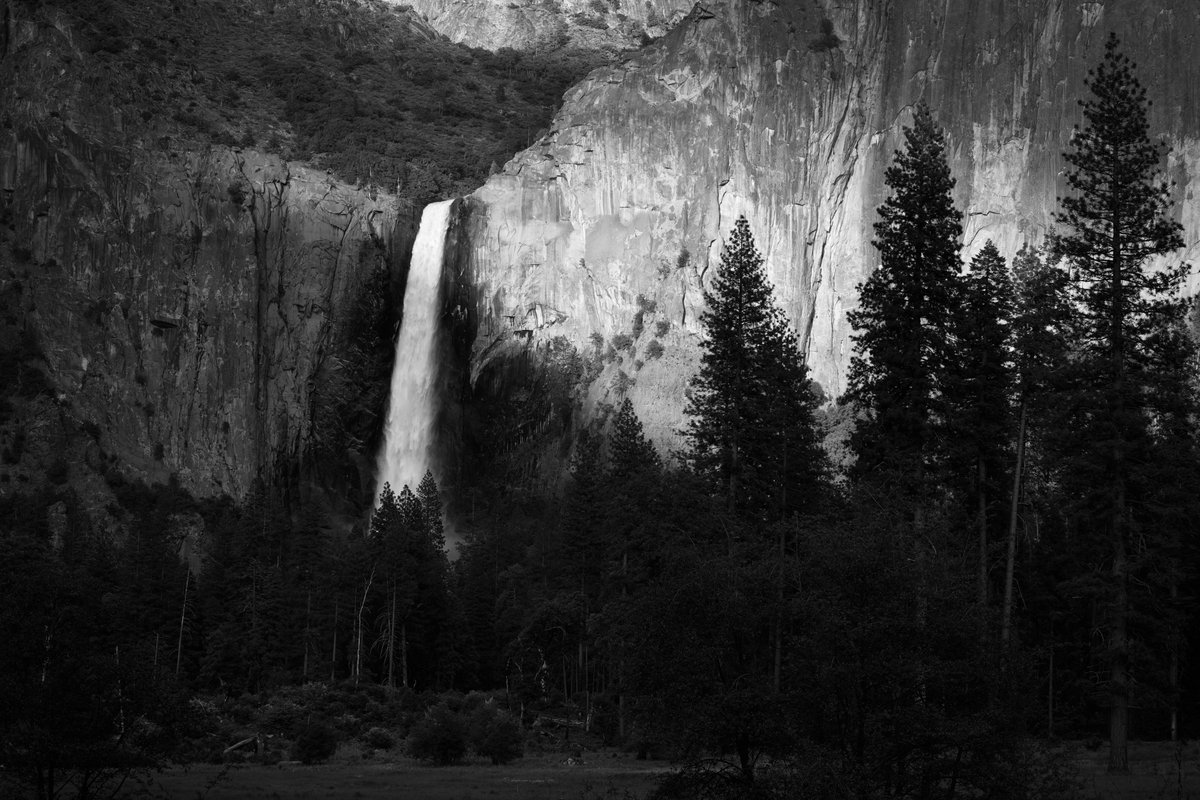 Posting a photo I captured of something beautiful. At your request, <a href="/elonmusk/">Elon Musk</a>. 📷