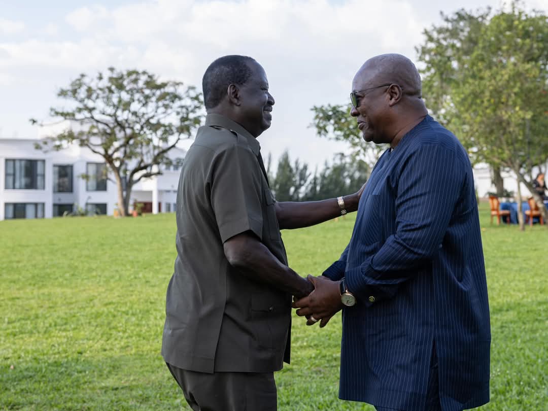 The Raila Odinga Amolo Foundation tweet media
