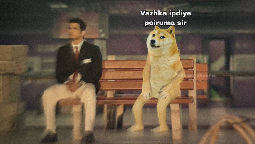 🛸 (@toxicxxz) on Twitter photo 