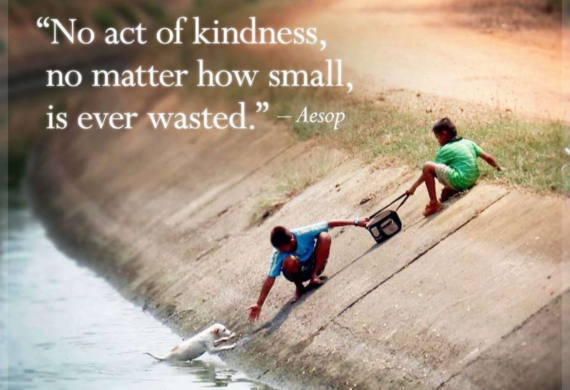 “No act of kindness, no matter how small, is ever wasted.”
- Aesop #quoteoftheday