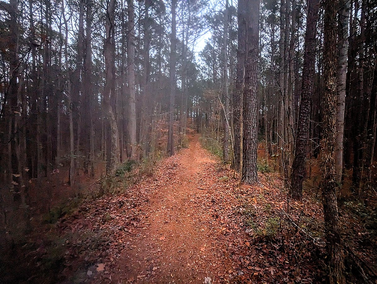 markinator99's tweet image. Got to visit my favorite childhood spot back home. I found so much peace and comfort in these woods growing up. I always love going back and seeing how things have changed, yet it always stays the same somehow. God's gift in my suburban surroundings