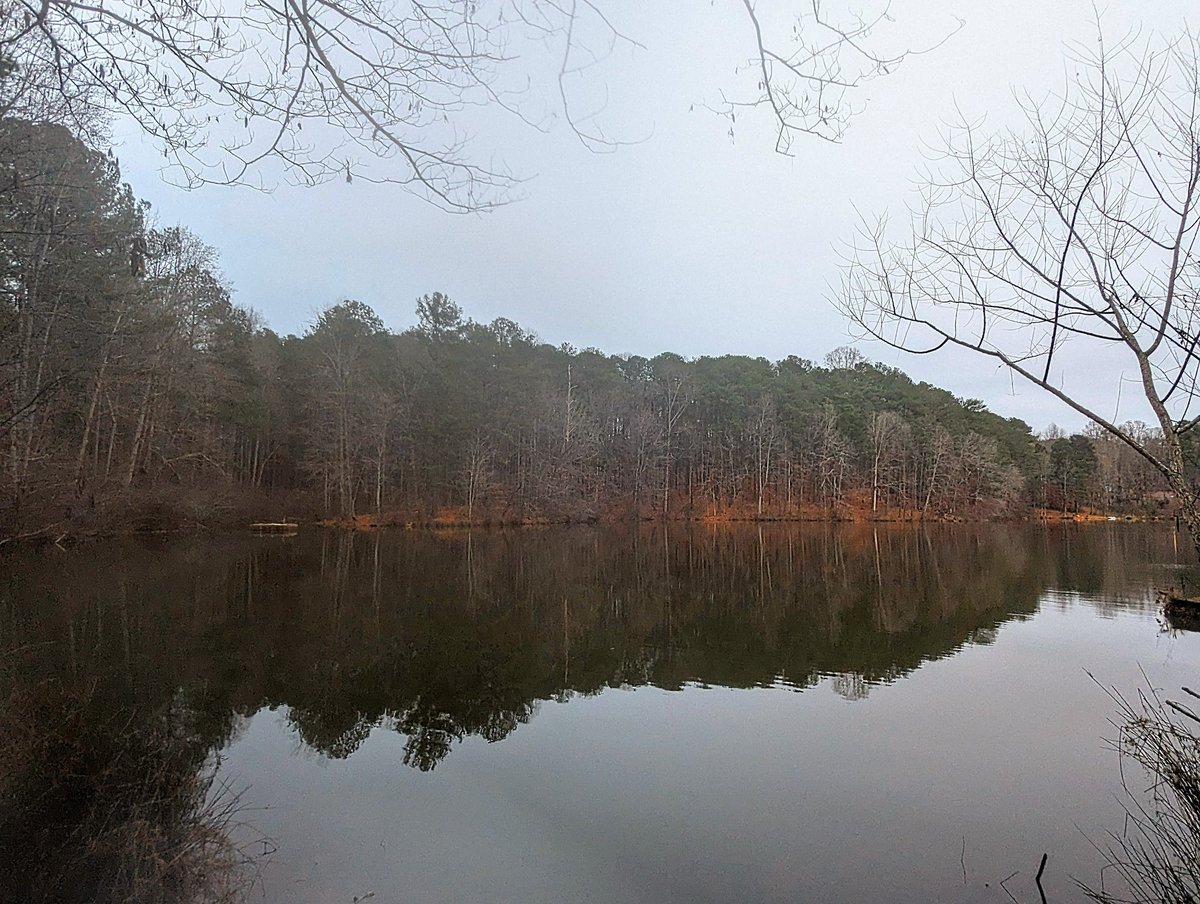 markinator99's tweet image. Got to visit my favorite childhood spot back home. I found so much peace and comfort in these woods growing up. I always love going back and seeing how things have changed, yet it always stays the same somehow. God's gift in my suburban surroundings