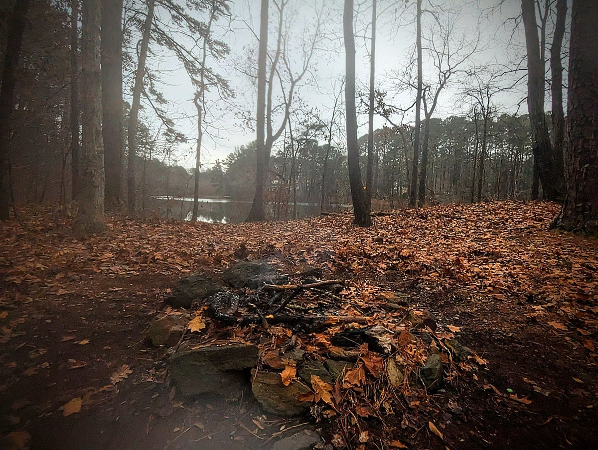 markinator99's tweet image. Got to visit my favorite childhood spot back home. I found so much peace and comfort in these woods growing up. I always love going back and seeing how things have changed, yet it always stays the same somehow. God's gift in my suburban surroundings