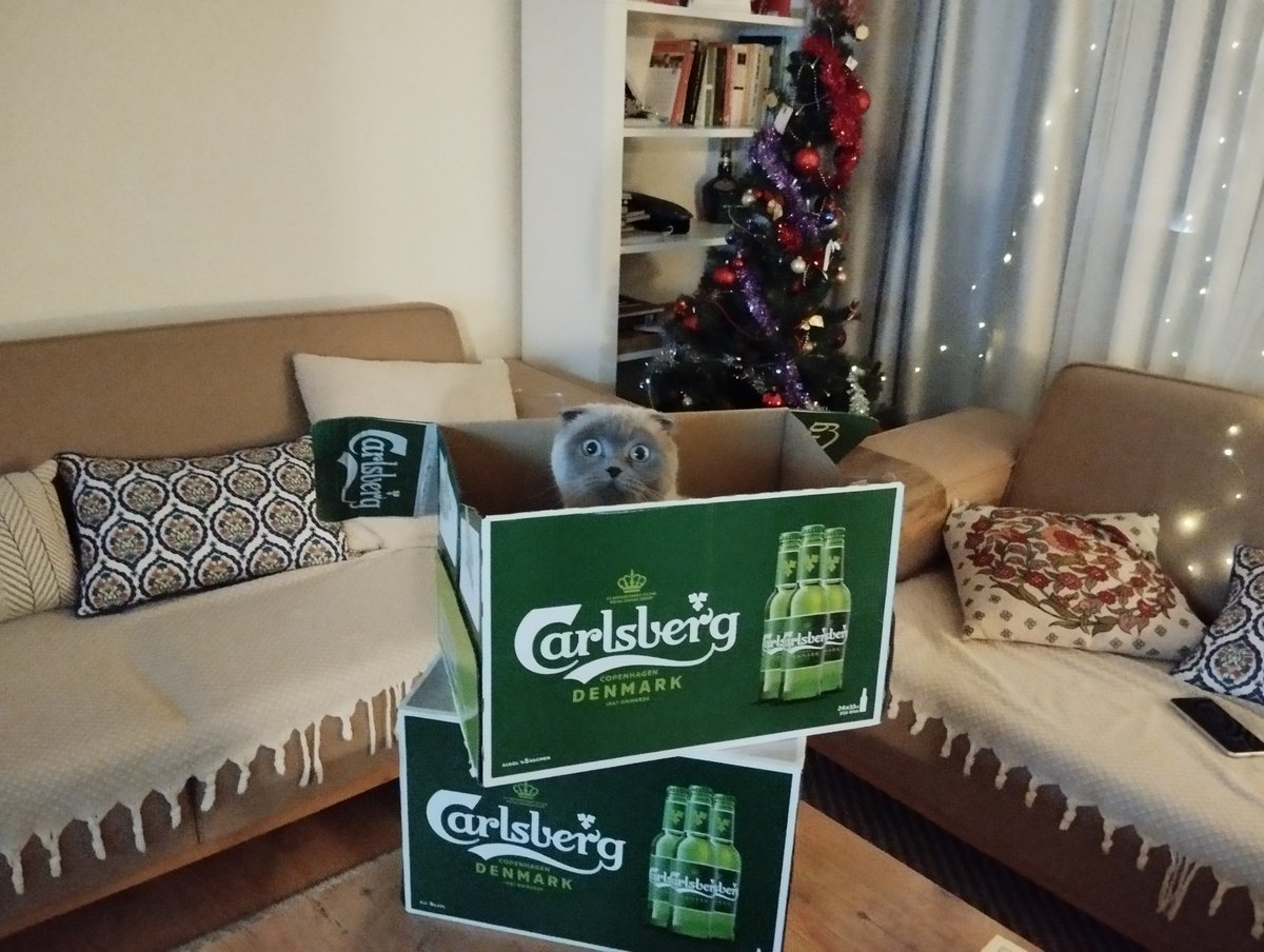 Bizim yılbaşı hediyemiz 🍺🍺🍺

Onun yılbaşı hediyesi 📦📦📦

<a href="/carlsberg/">Carlsberg</a>