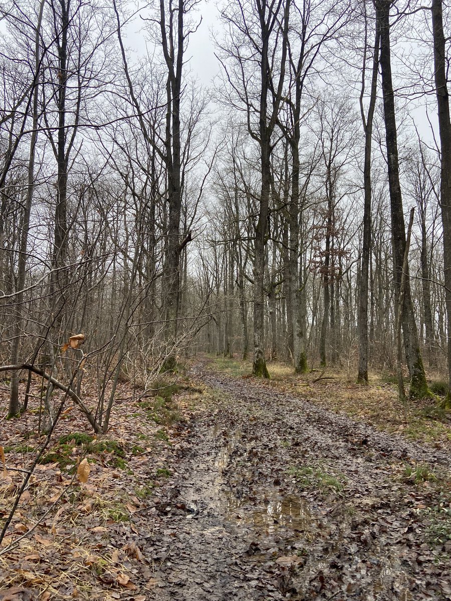 FrenchPeakers's tweet photo. @MyPeakChallenge @SoCalPeakers @SamHeughan 16km and lots of mud ;-) https://t.co/j5dZaVe3wf