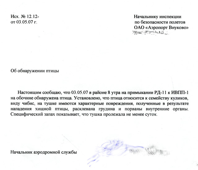 maxhocom's tweet photo. Во Внуково заспоттили много тушек, но есть нюанс.
#авиация #аэропорты #орнитология #птицы #VKO #UUWW https://t.co/TbM90J7aLw