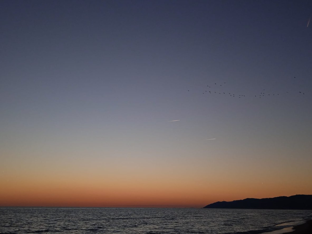 acorralcrm's tweet photo. Today 9 Bethlehem stars at the same time! 😲
But only 3 and a half visible in the photo. 😅
@manlius84 or @Earth_Forecast will have to teach me how to make good photos!
#castelldefels #CO2emission #nonstopflying https://t.co/HU9rH57Myr