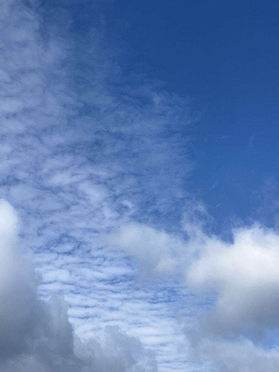 RejoicingReb M (@diligentbecca) on Twitter photo 