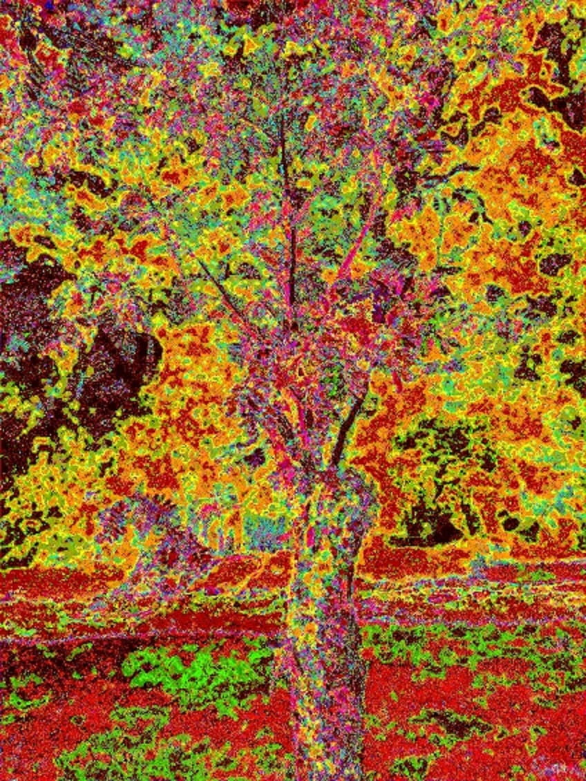 Stephanie Lynne Thorburn. tweet media