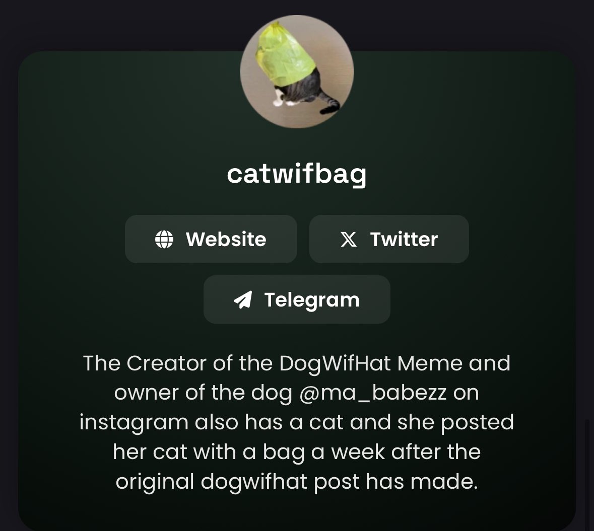 solbrdl's tweet image. If your portfolio is small, you should invest in $BAG ; the upside is 1000x

Since my account @brdlsol got banned and my thesis about $BAG disappeared, I will write it here shortly again. 

- $BAG cat irl owner is also $WIF official dog owner.
@wifbag has been in a downtrend from…