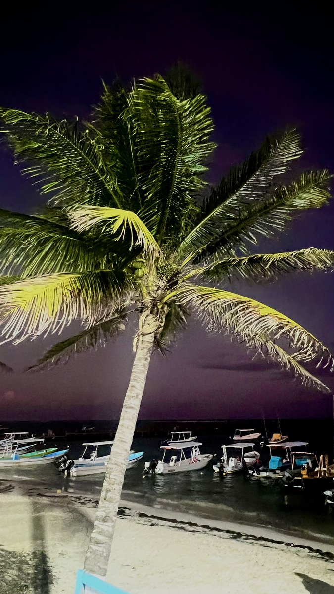 pakpacheke's tweet photo. Caribbean nights ..: https://t.co/RUTvyjdInp