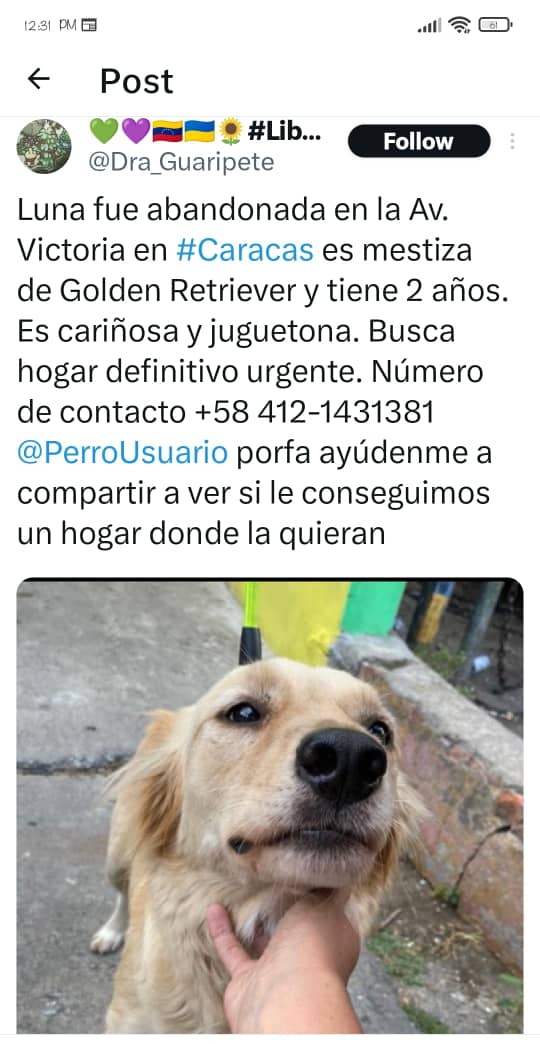 RamsesVazBlanco's tweet photo. Reenviado. Abandonada. Gracias 🐾💔🙏🐶😔 @AyudaPerroGatos @PerroUsuario @apoyocanino @refugiomigema @manosdlsangeles https://t.co/yacQOR3Bam