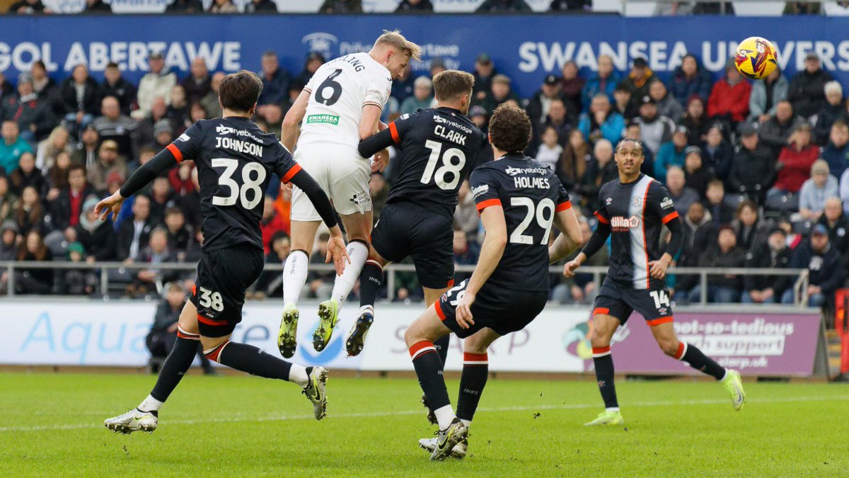 Got the job done in the end 🦢