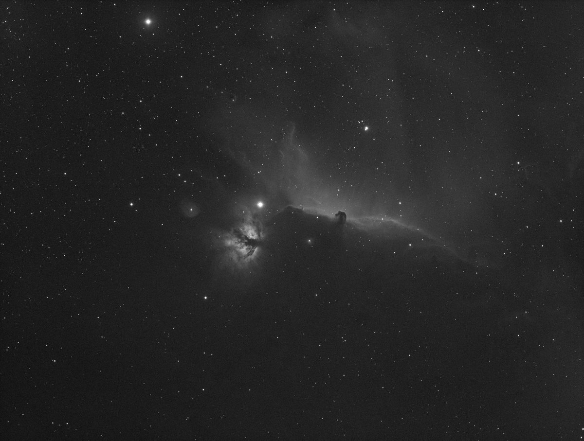 OGAstroAm's tweet photo. I got back into astrophotography after a couple of years due to work situation. This is a single 600 second frame of IC 434 in Ha. I'm hooked all over again. Equipment: EQ6-R Pro mount, Radian Raptor61 refractor, ZWO ASI1600MM Pro, ZWO EFW, EAF, ASIAir Plus, ASI120MM Mini. https://t.co/0gMyMdDoGv