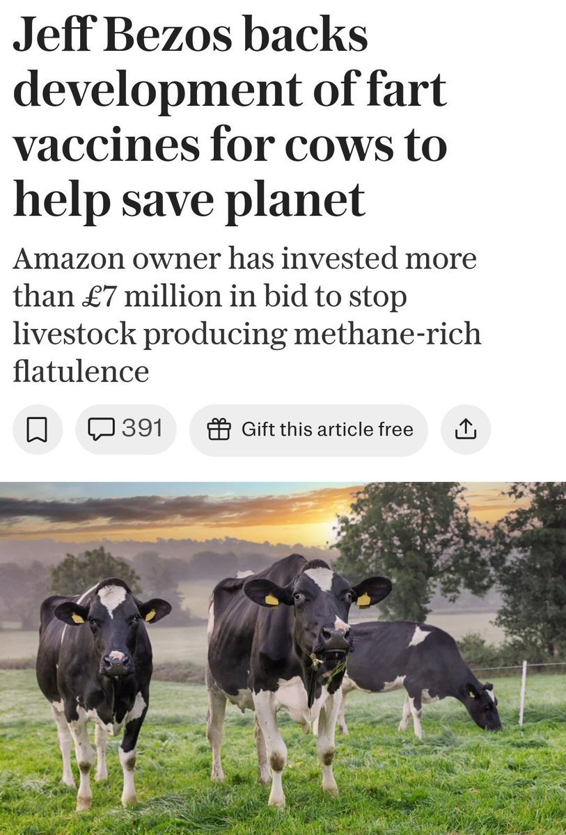 Gf_M_VEWkAAKxHm