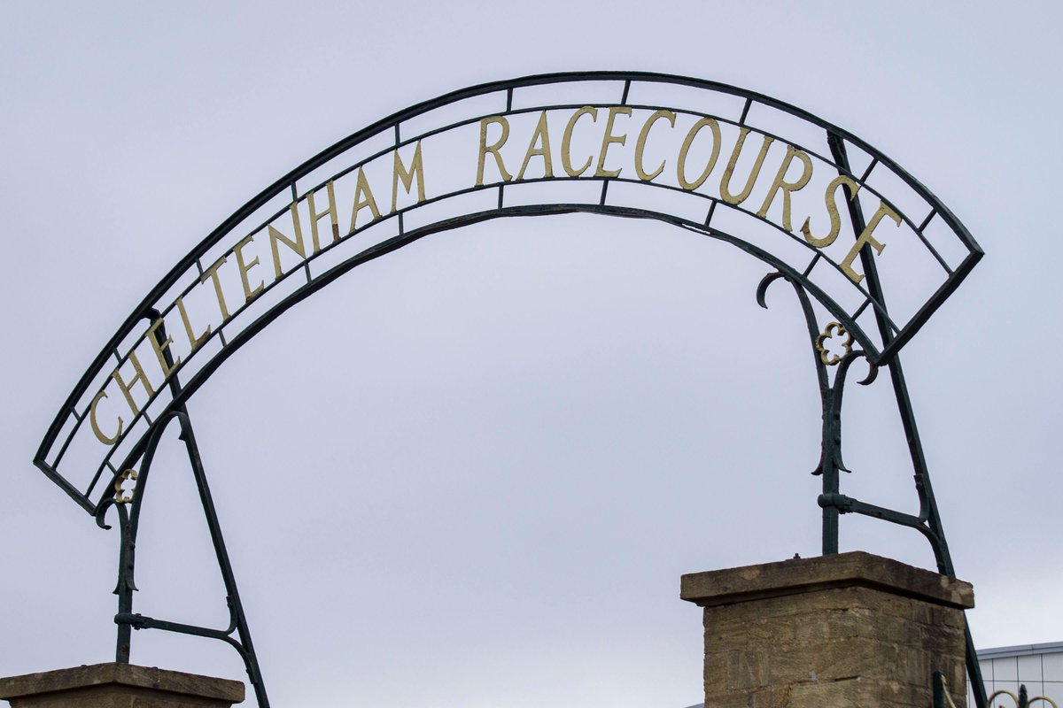 JakeRuss1000's tweet photo. In celebration of the New Year - I have 2x Champions Day (Tuesday) Tatts Enclosure #CheltenhamFestival tickets to GIVEAWAY! 🎟️

To enter simply: 

1️⃣ Like and re-post this
2️⃣ Follow me and @CheltenhamRaces 
3️⃣ Tag a friend to take

Winner announced February 3rd 2025

#Giveaway https://t.co/NpoVf71Qyq