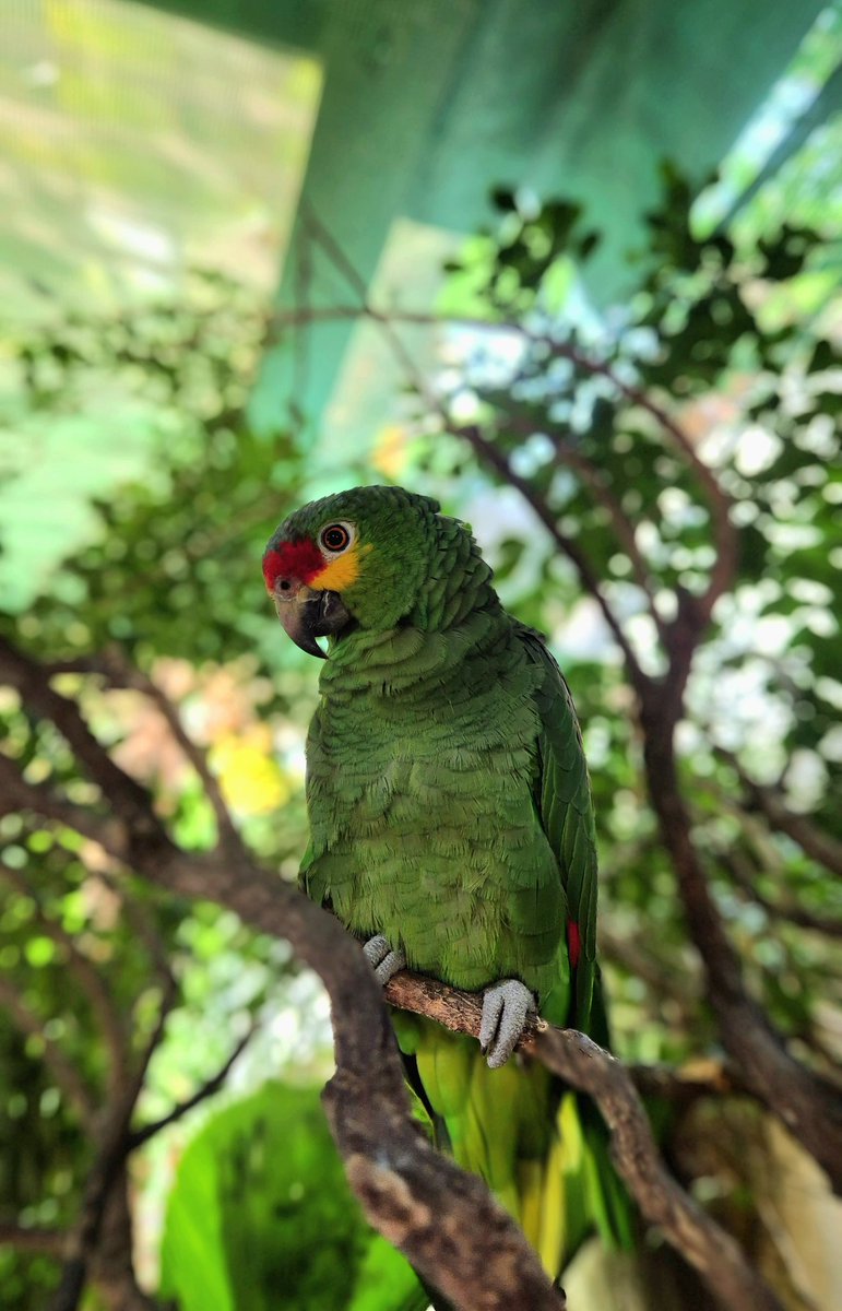 ppage504's tweet image. 😍