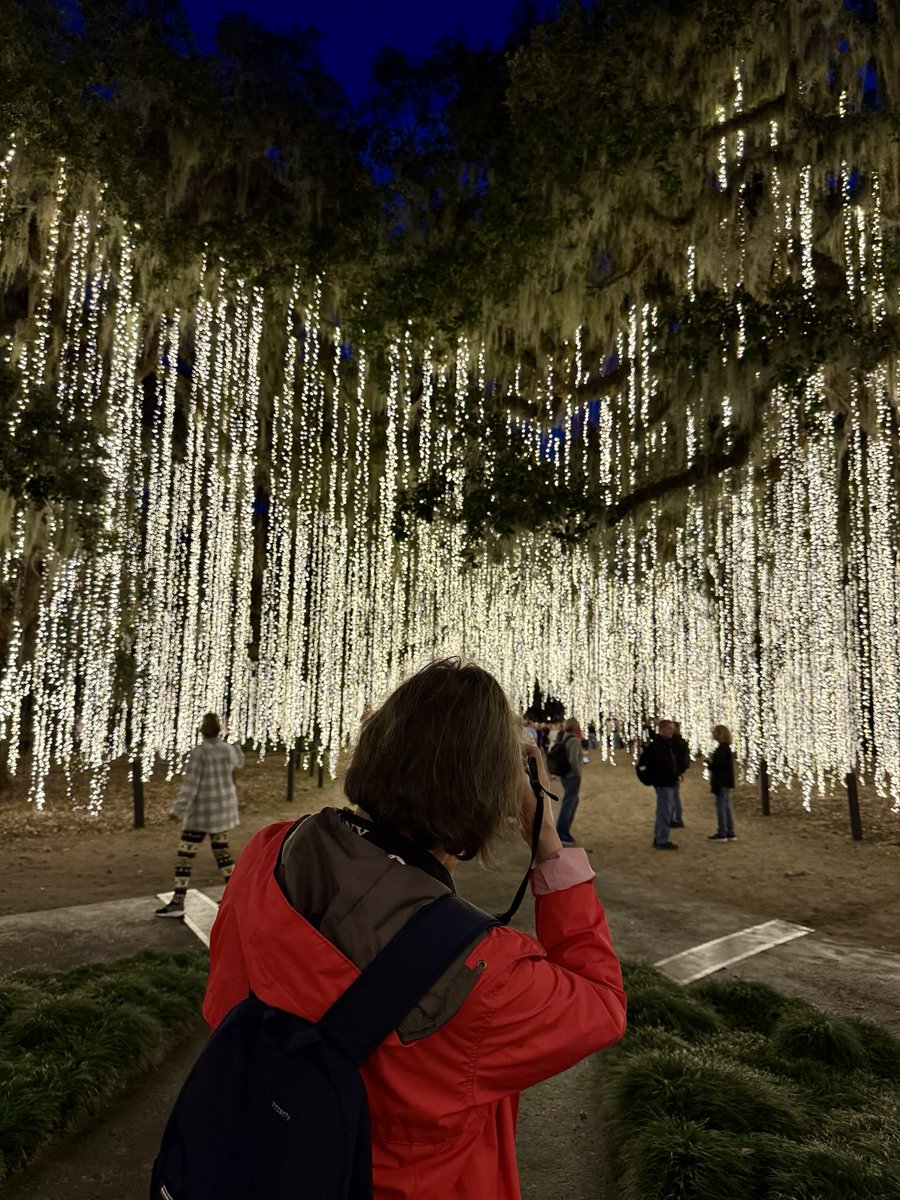 dMarieGoff's tweet photo. #southcarolina #myrtlebeach #brookgreengardens #photography https://t.co/o2KuCglqUZ