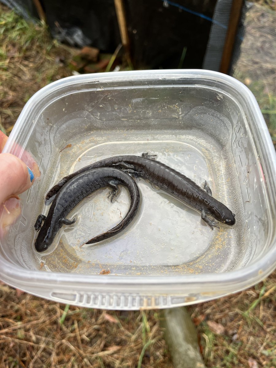 Tom Anderson tweet media