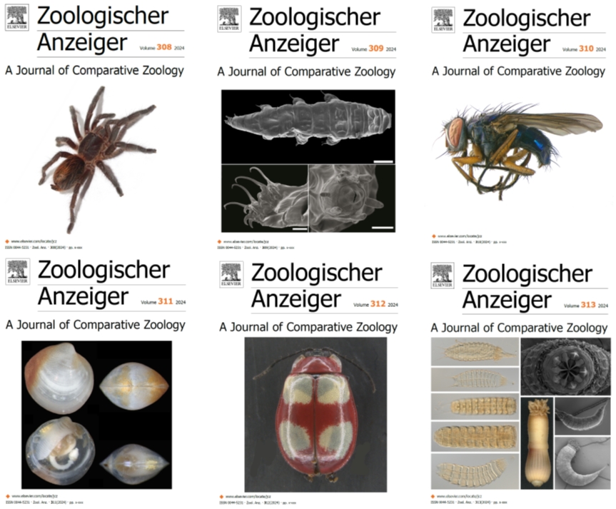 Covers of the #ZoologischerAnzeiger in 2024 <a href="/ElsevierConnect/">Elsevier</a> 

Thanks to all the contributions of authors, reviewers, editorial board, and production team!