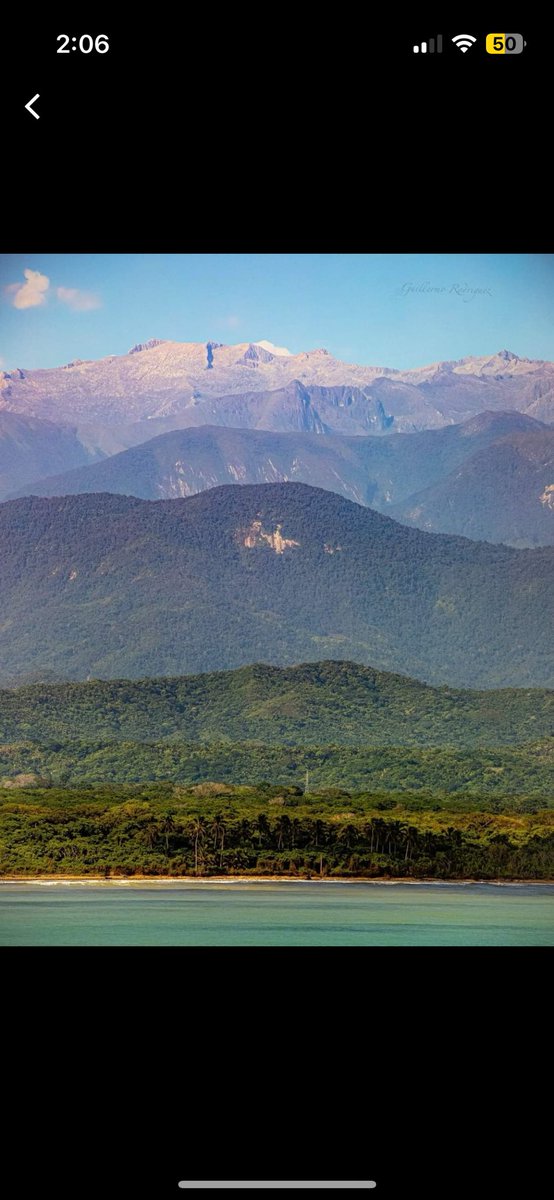 BowTiedColombia 🇨🇴🌞 tweet media