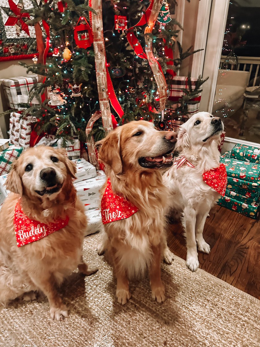 lindeelink's tweet photo. December 🎅🏼🎄❤️ https://t.co/irQD0VZN6u
