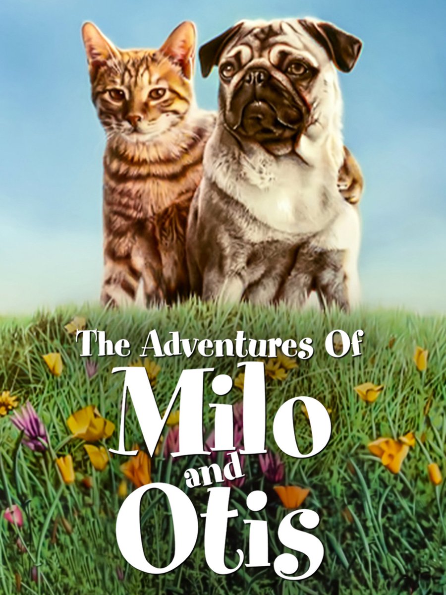 jeskaeli's tweet photo. #Number179 #AtoZ the adventures of milo and otis https://t.co/tbCQYsvRrd