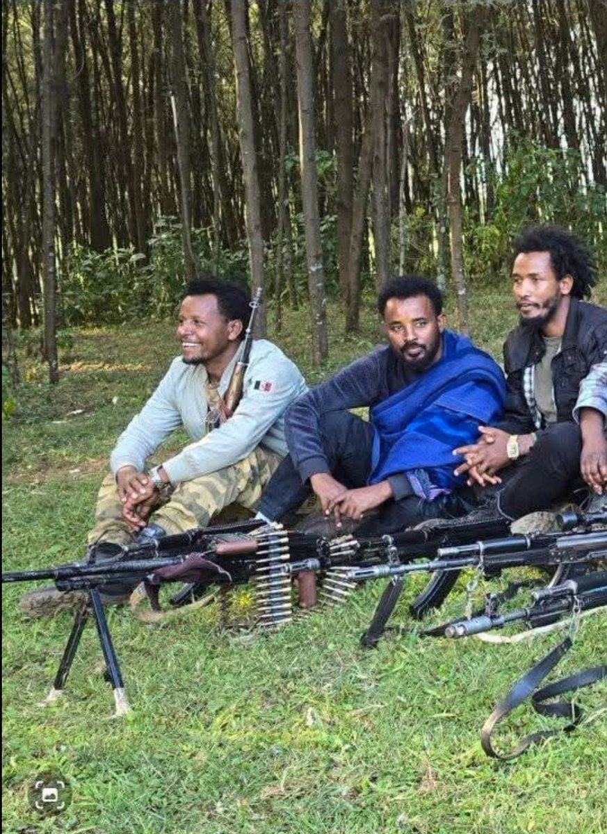እውነት እውነቷን tweet media