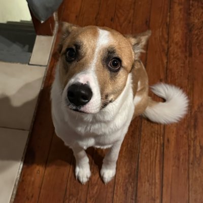 TobiaAli's tweet photo. #NewProfilePic https://t.co/aAbXJW6tFi