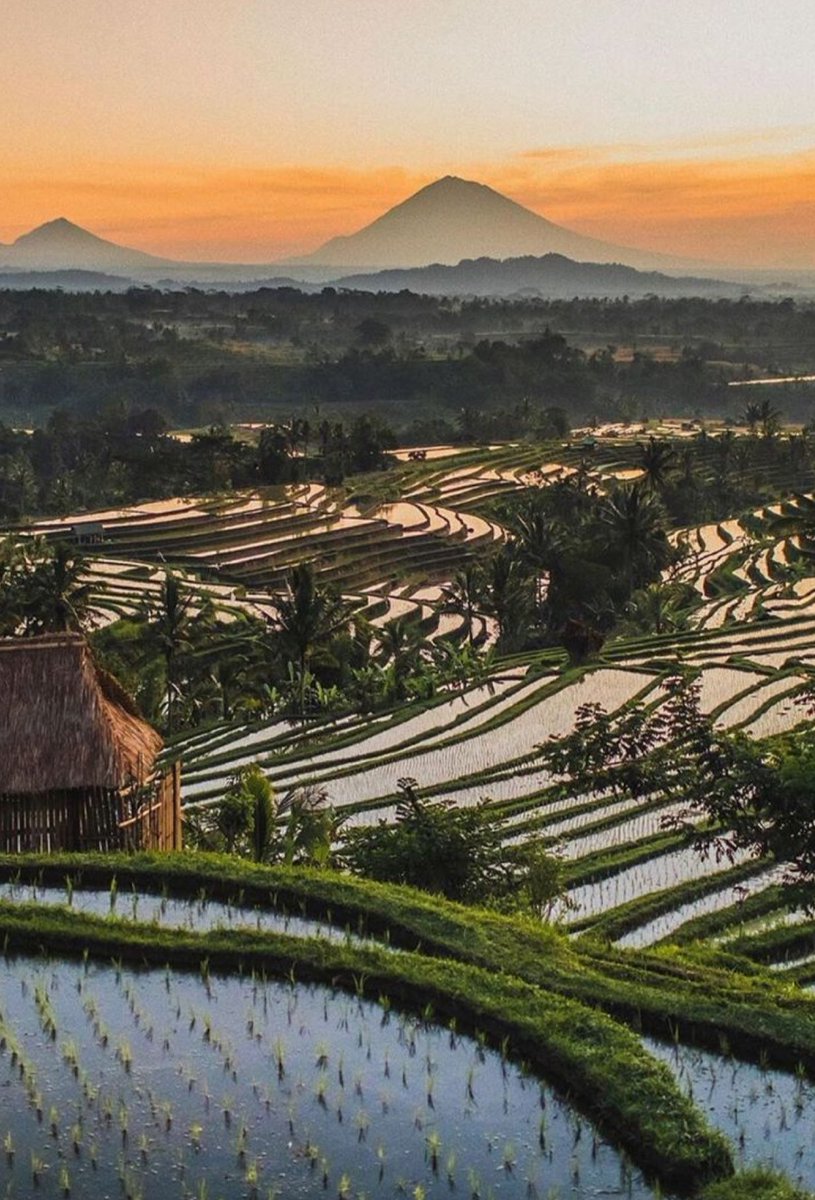 W0rld2026's tweet photo. Bali, Indonesia https://t.co/fHcnu1fQgt